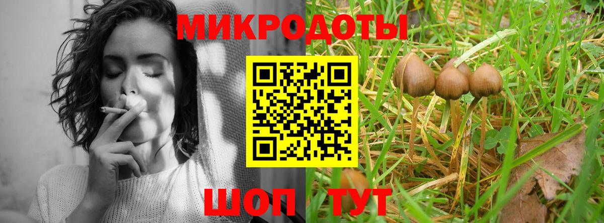Псилоцибиновые грибы прущие грибы Можга