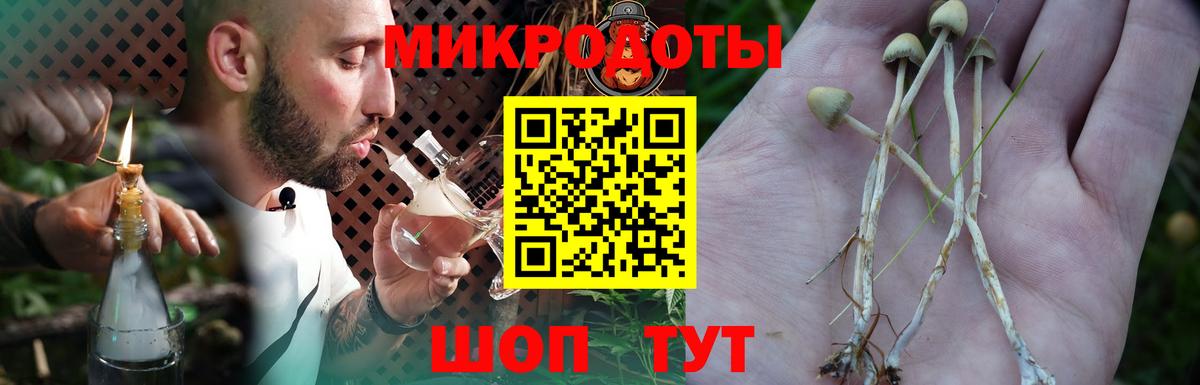 Галлюциногенные грибы Magic Shrooms  Вход с VPN  где купить наркоту  Можга 